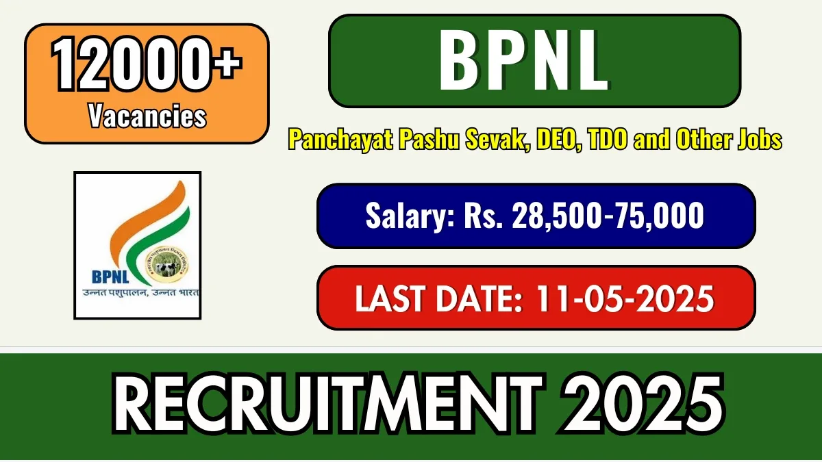 BPNL भरती 2025 – 12,981 विविध पदांसाठी अर्ज करा, उत्तम वेतन आणि आकर्षक सुविधा!