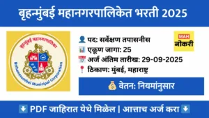 bmc-surveillance-investigator-recruitment-2025