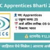 ecgc apprentices recruitment 2025 apply online