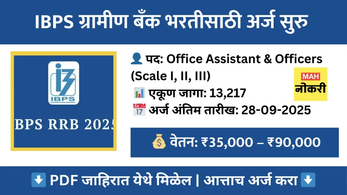 IBPS ग्रामीण बँकेत 13,217 पदांसाठी भरती! ऑफिस असिस्टंट आणि अधिकारी पदांसाठी अर्ज करा